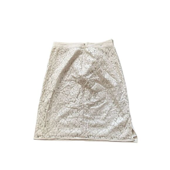 The limited lace skirt - Picture 1 of 3